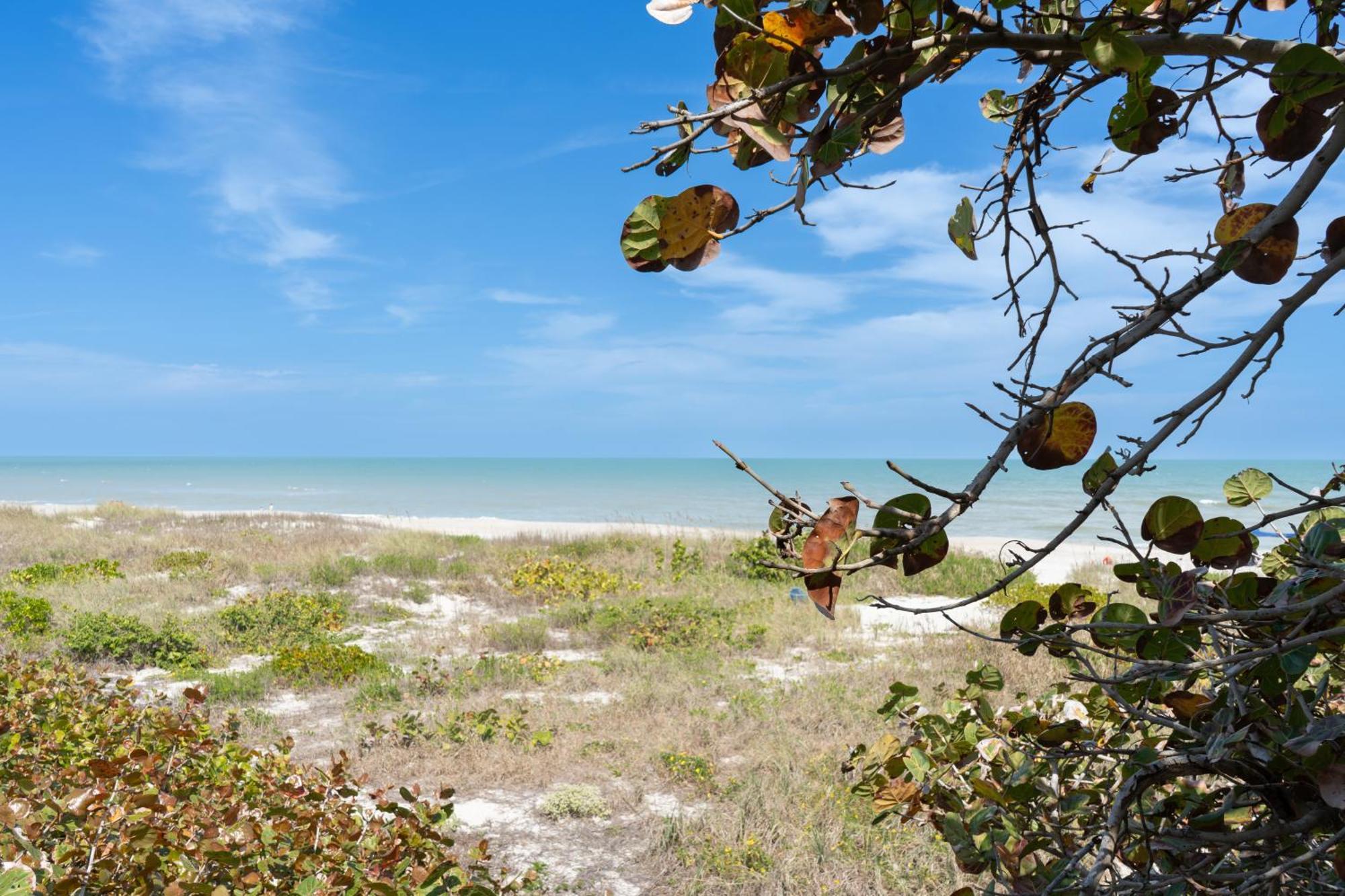 Sole Suite #1-2 Min To Beach-Patio & Courtyard Cocoa Beach Exterior photo